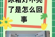 灯不亮的原因及修复方法（如何正确操作解决灯不亮的问题）