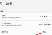 尘白禁区笔记本电脑画质调整方法是什么？调整后效果如何？