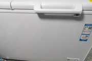 冰柜冷藏引发异味的原因及解决方法（探究冰柜冷藏食物产生异味的原因）