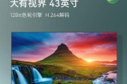 哪些品牌生产大尺寸便携电视？便携电视的选购要点是什么？