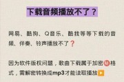 给音响下载歌曲应该去哪里下载？下载过程中需要注意什么？