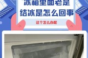 冰箱失去制冷能力的原因及处理方法（揭秘冰箱制冷失效的三大原因）