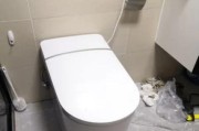 连体冰柜搬迁指南（简单有效的连体冰柜搬迁方法）