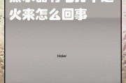 电热水器打不着火的故障及解决方法（排除电热水器无法点火的常见问题与解决方案）