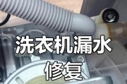 海尔洗衣机单脱水为什么要进水？（深入探究海尔洗衣机单脱水的原因和作用）