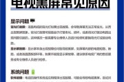 立体打印机屏幕黑屏怎么办？（解决立体打印机屏幕黑屏的常见方法）