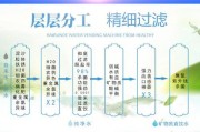 碧信净水器不工作的原因及解决方法（让您的碧信净水器恢复正常运行的关键步骤）