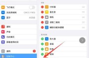 如何干净地卸载iPad上的软件（一键删除无用应用）
