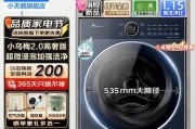 小天鹅水魔洗衣机故障排查与解决方法（保护洗衣机生命，轻松解决常见故障）