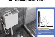 蹲便器尺寸的重要性（探讨蹲便器尺寸对使用体验的影响）
