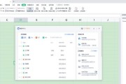 WPS电脑文件配置设置方法是什么？
