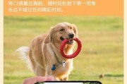 小狗佩戴运动相机的正确方式是什么？