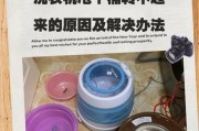 洗衣机不转的原因及解决方法（探究洗衣机无法正常转动的可能原因与解决方案）