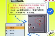 电脑屏幕无显示怎么办（解决电脑屏幕无显示问题的有效方法）
