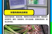 冰柜发臭的解决方法（有效清除冰柜异味，让食品始终新鲜）