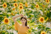 演示屏使用手机拍照如何拍得更美？