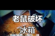 冰箱启动不起来的原因分析（探究冰箱无法正常运行的可能因素）