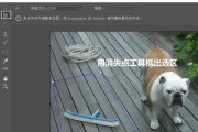 PS消失点工具的使用方法（让你的照片更加完美）