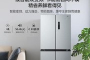 如何选择适合的冰箱品牌（从功能到能效）