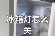 冰箱灯泡为何不亮了？（探究冰箱灯泡失灵的原因及解决方法）