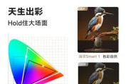 中等价位的投影仪什么牌子好？哪个品牌性价比高？