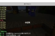 布吉岛服务器位置如何查找？