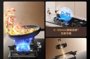 苏泊尔单燃气灶维修指南（轻松解决您的家庭厨房问题）