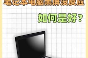 电脑黑屏变亮屏问题如何诊断？
