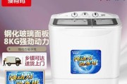 双桶洗衣机脱水桶不转怎么办？（解决方法和注意事项，让你轻松应对洗衣机问题）