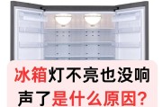 冰箱里的灯为何不亮（解析冰箱灯不亮的原因及解决方法）