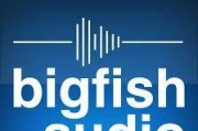 电脑下载fishaudio的方法是什么？步骤有哪些？