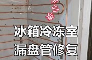 冰箱为什么会内漏？（探究冰箱内漏的原因和解决方法）