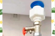 热水器清洗方法大揭秘（以热水器能用什么清洗方法）