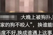 未牵绳小狗扑男子腿被踢开，狗主人不道歉，怒斥:我家狗又不咬人