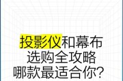 租房时如何选择合适的投影仪立体幕布？