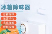冰柜保鲜有味道解决方案（消除冰柜异味）