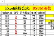 Excel排名函数公式的使用技巧（掌握排名函数）