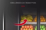 如何使用水果冰箱保持水果新鲜不坏（简单而有效的方法）