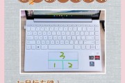 笔记本电脑触摸板属性如何查看？触摸板设置有哪些技巧？