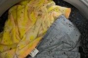 洗衣机洗不干净衣服的原因及解决方法（为什么洗衣机无法彻底清洁衣物？）