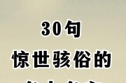 名人通常喜欢看什么类型的电视节目？电视节目对名人有何吸引力？