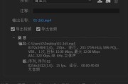 PR导出视频太大（教你优化导出设置）