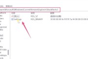 Win11任务栏全方位调整指南（定制你的Win11任务栏）