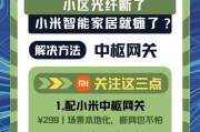 手机中枢网关的设置步骤是什么？