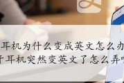 锐族蓝牙耳机连接失败怎么办？