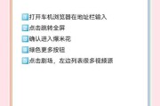 查看特斯拉实时摄像头需要哪些步骤？
