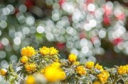 晚上背景很亮的时候手机怎么拍照？如何拍出清晰照片？