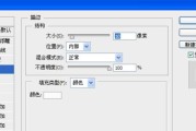 如何解决显示器左侧留有一点白边的问题（调整显示器设置，消除白边瑕疵）