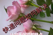 寄送机顶盒是否违规？遇到快递问题该如何解决？