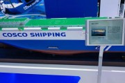 海运汽车需要哪种类型的船？运输过程中需要注意什么？